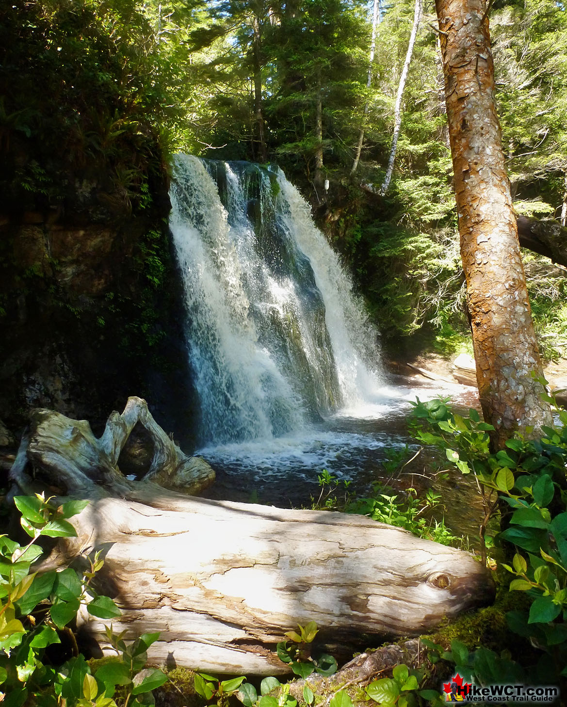 Best West Coast Trail Bonilla Falls