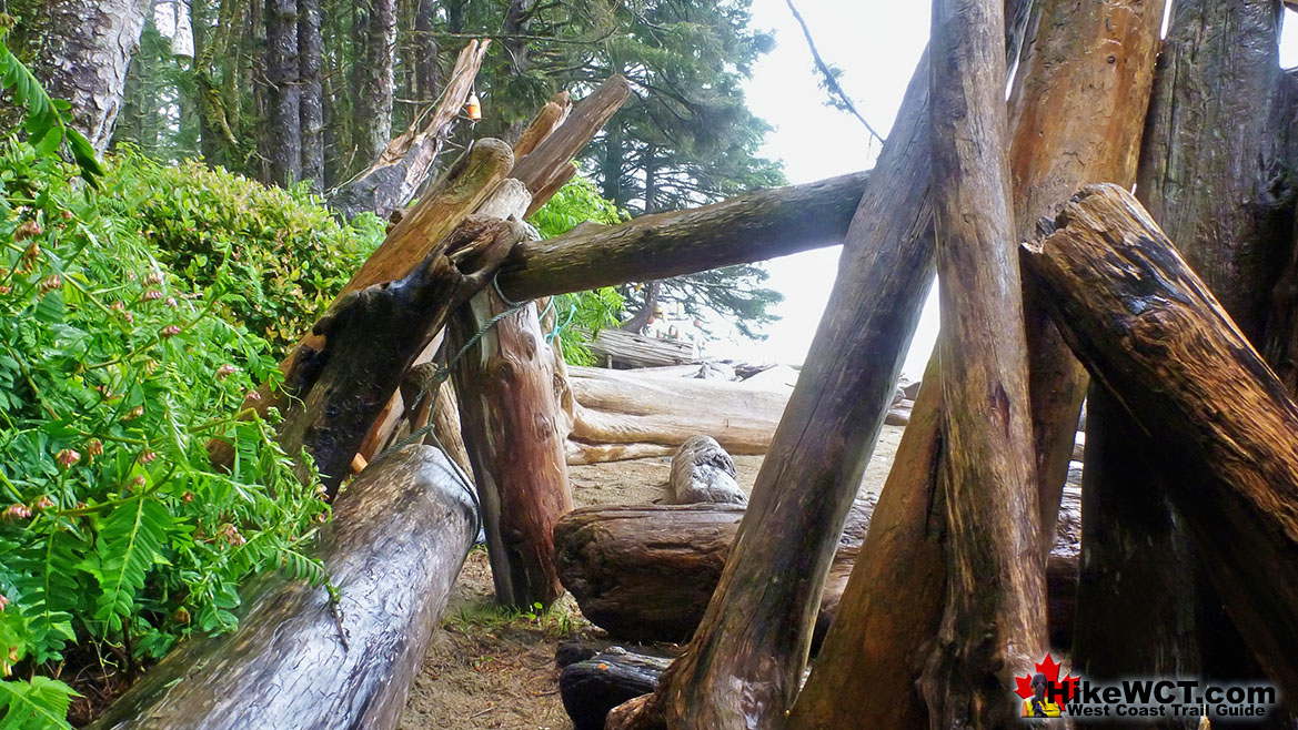 Darling Driftwood Shelter West Coast Trail