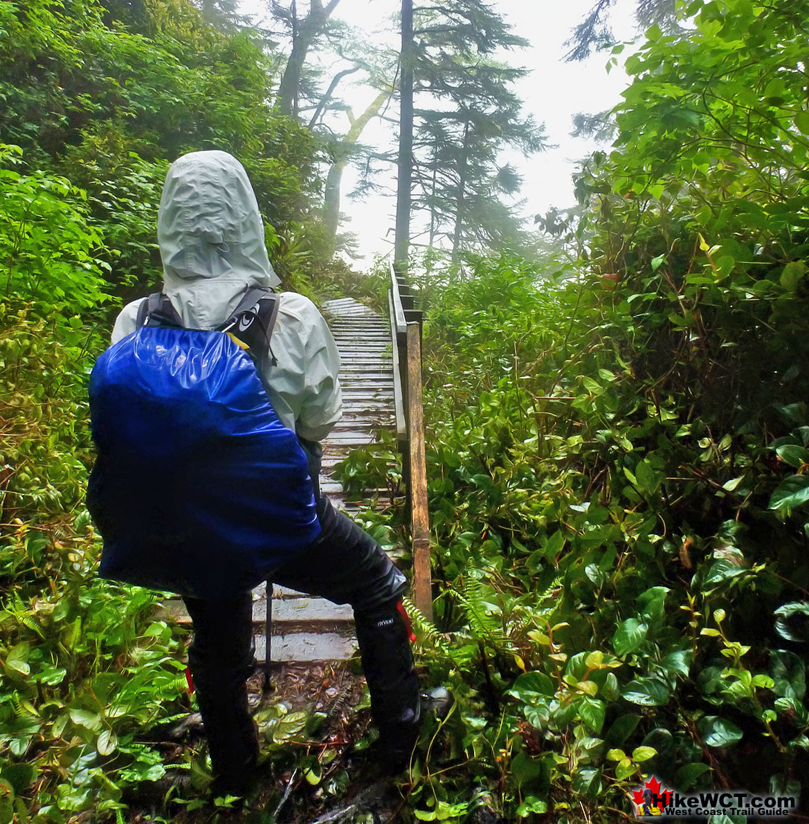 Best West Coast Trail Sights Ladders