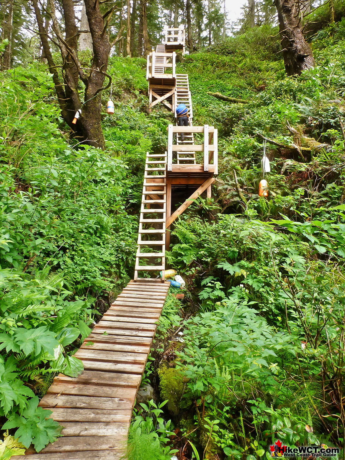 Ladders Down to Tsusiat Falls