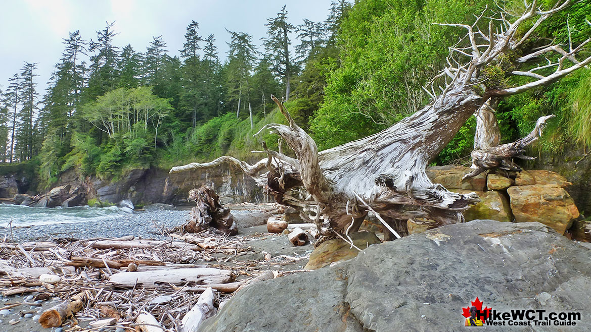 West Coast Trail Tsusiat Deadfall