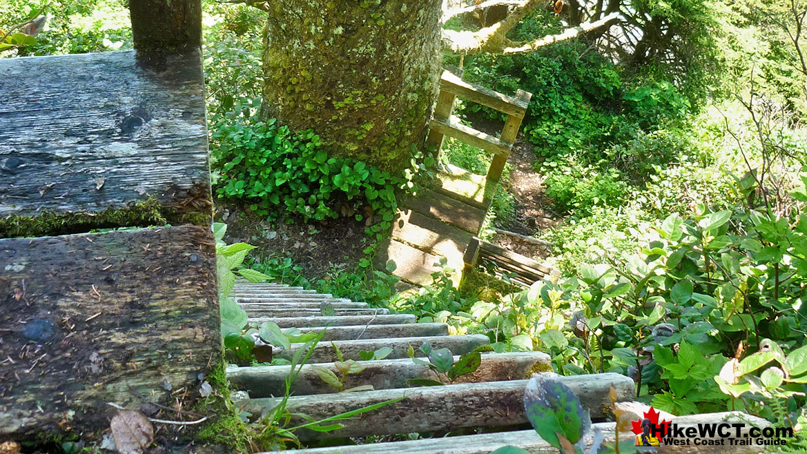 Amazing Ladders on the West Coast Trail