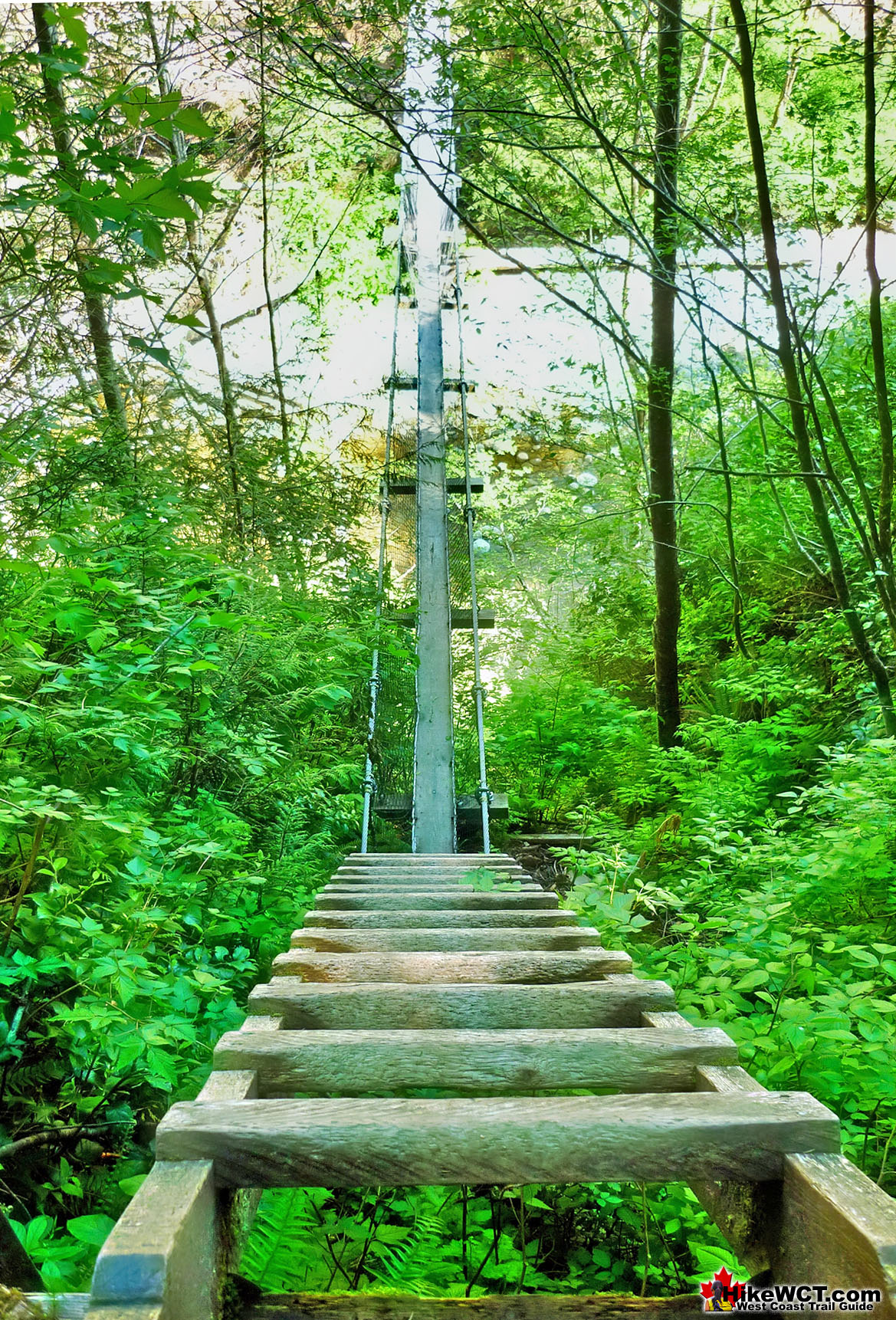 Fall Creek Falls - Hiking — Tennessee State Parks