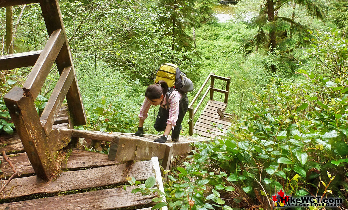 Cullite Cove Ladders Up