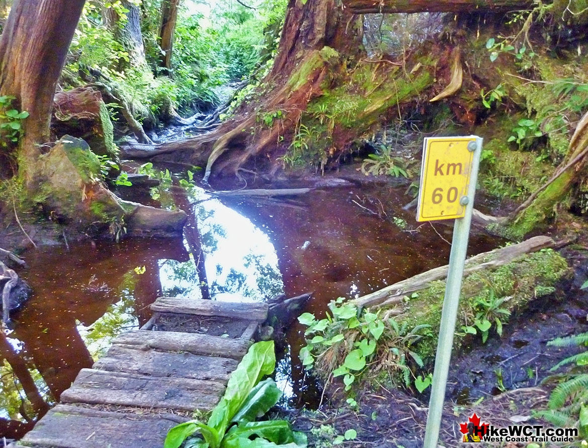 Mud Pool at 60km West Coast Trail