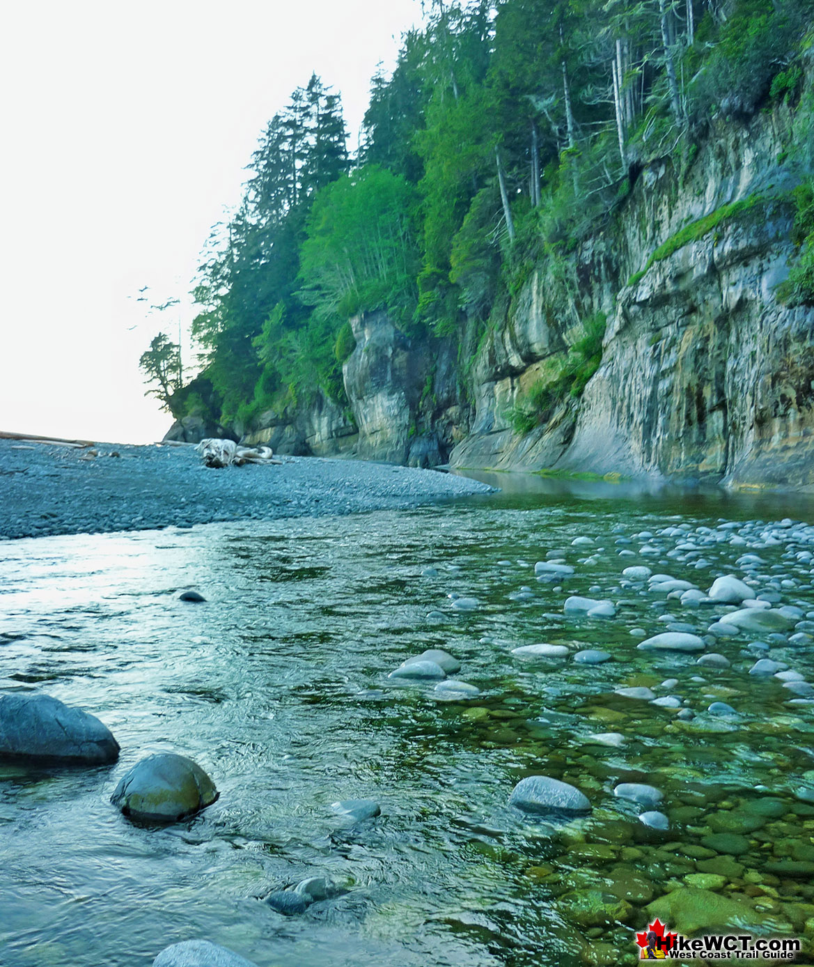 Camper Creek Flowing to Camper Bay