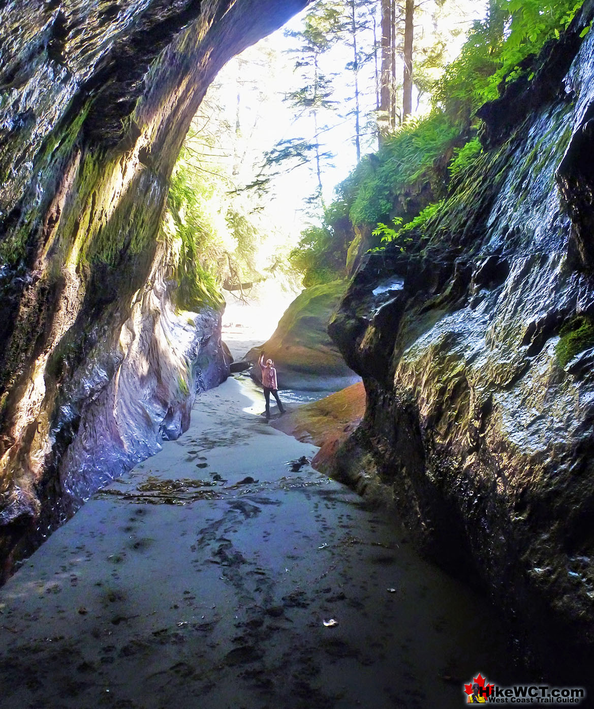 Owen Point Cave West Coast Trail