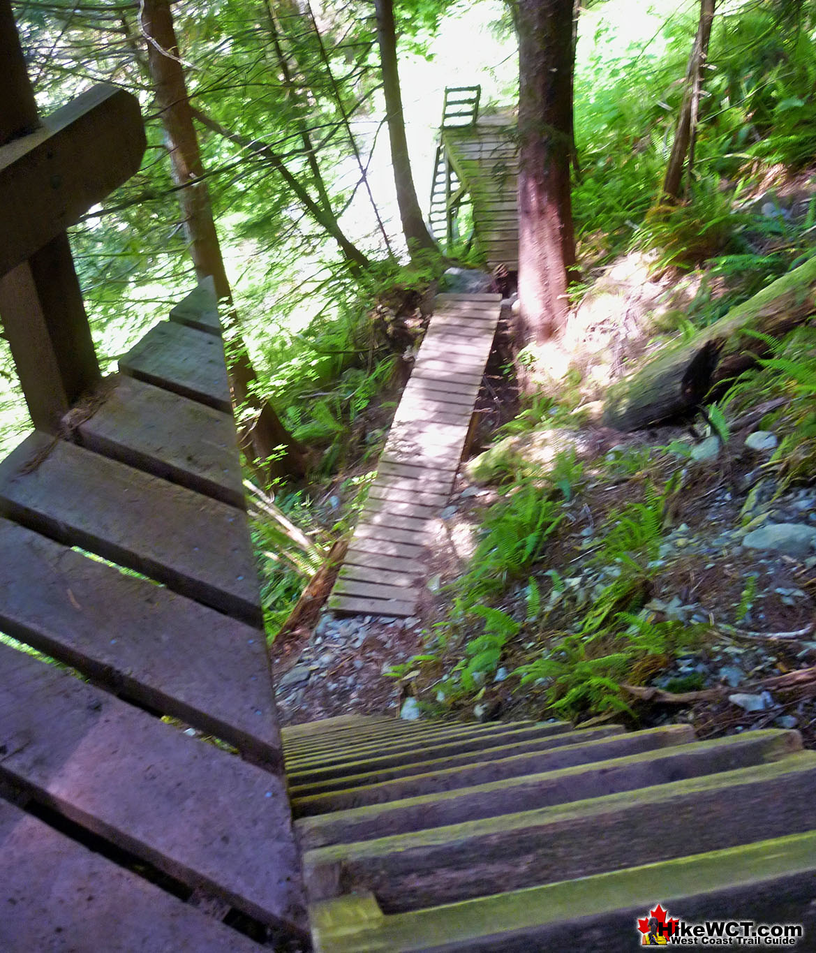 Crazy West Coast Trail Ladders at 72km