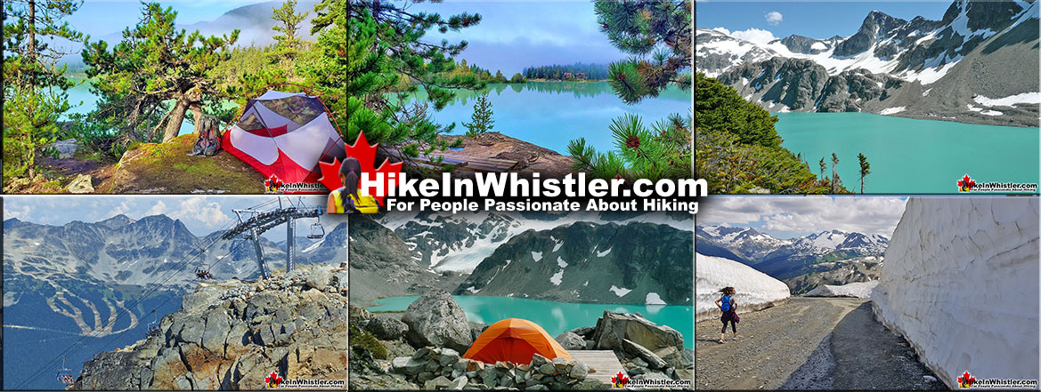 Amazing Whistler Hiking Trails