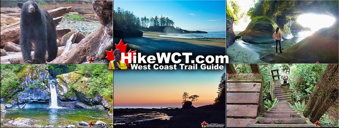 Best West Coast Trail Sights